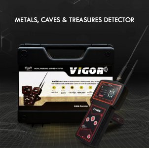 VIGOR