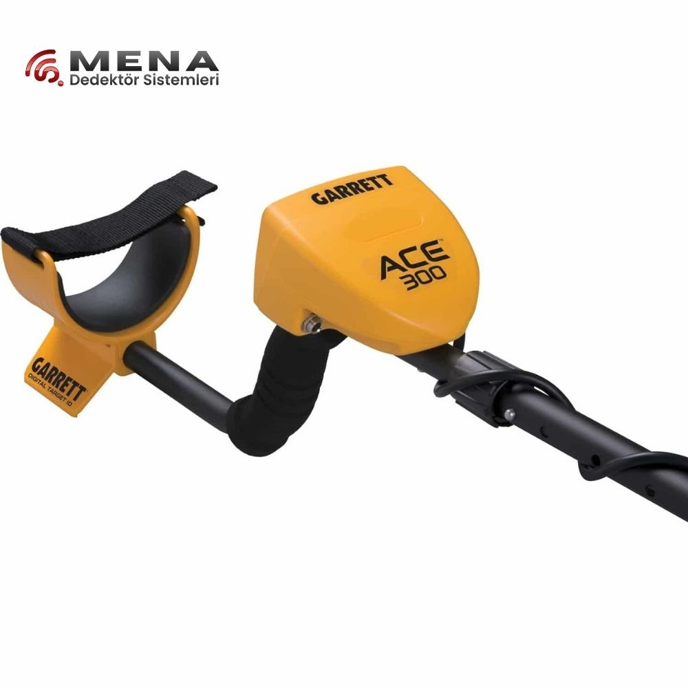 Garrett Ace 300i Treasure Detector