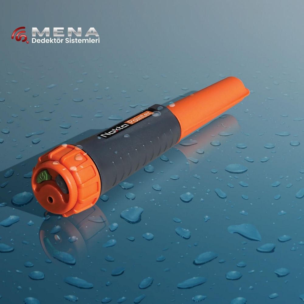 Nokta Pointer