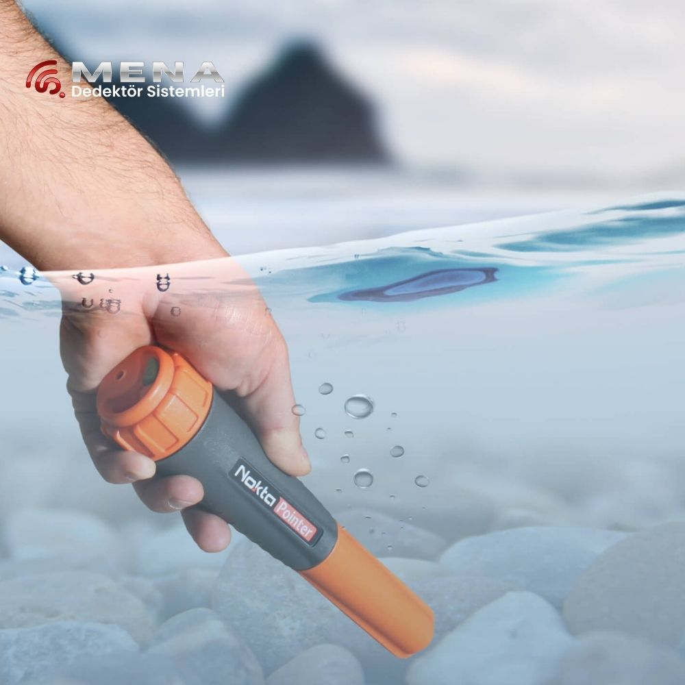 Nokta Pointer