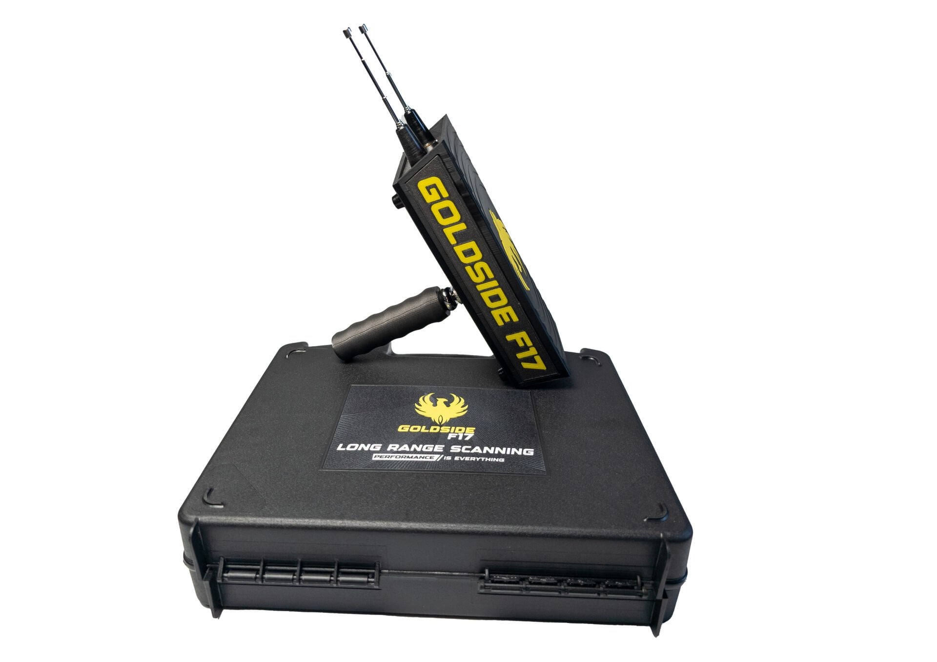 Goldside Field Scanning