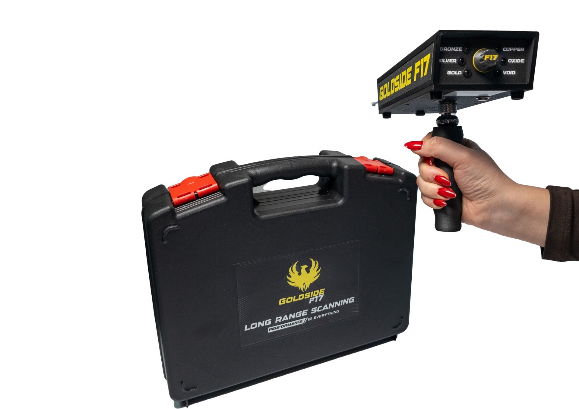 Goldside Field Scanning
