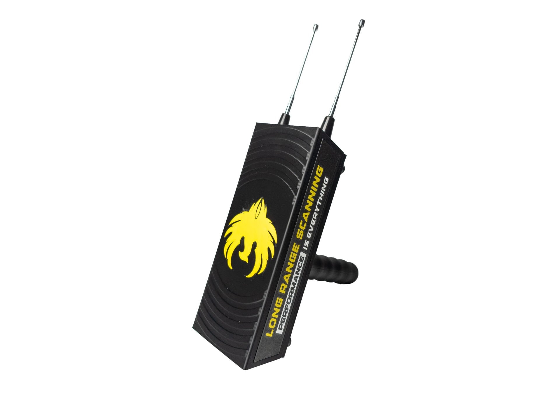Goldside Field Scanning